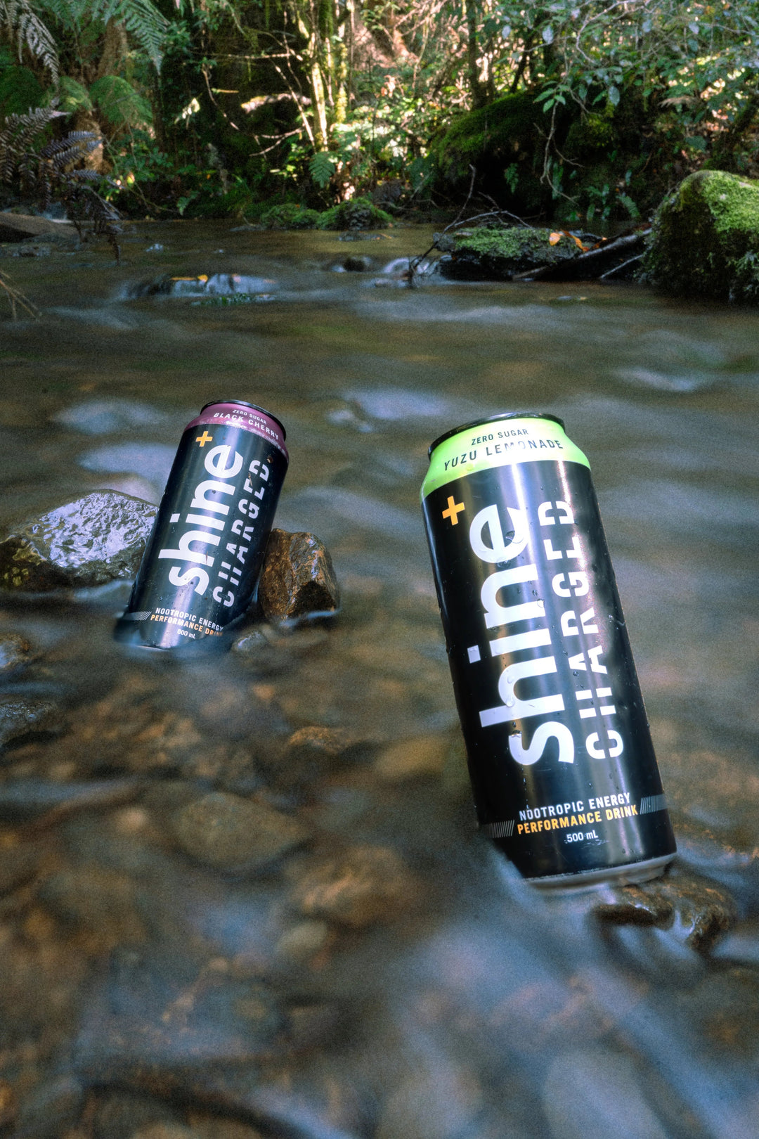 Two nootropic energy drink cans in a clear stream surrounded by mossy rocks and green foliage