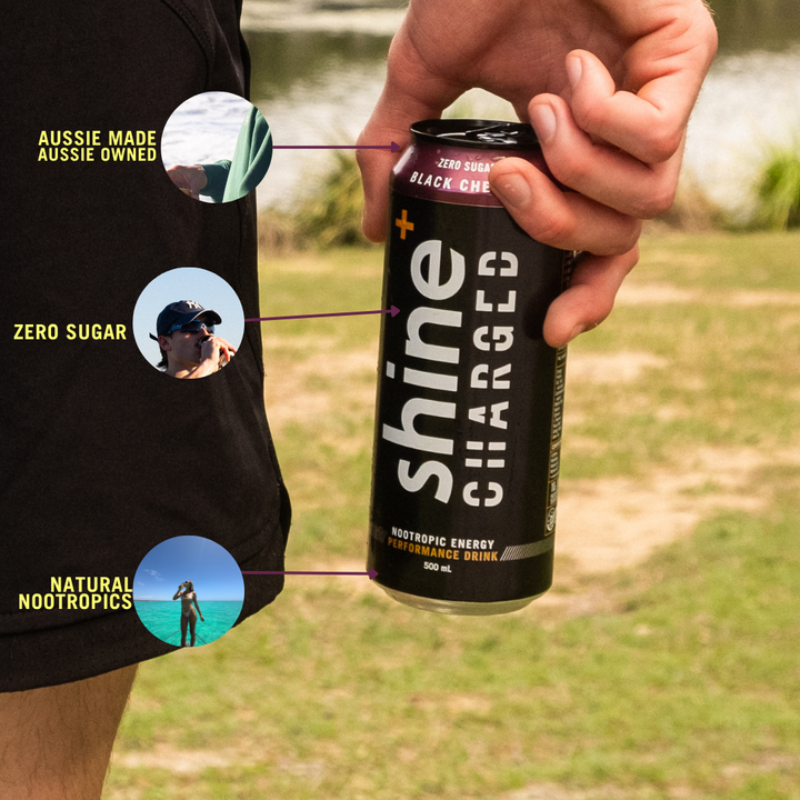 シャインプラス チャージドブラックチェリー 500ml×12本