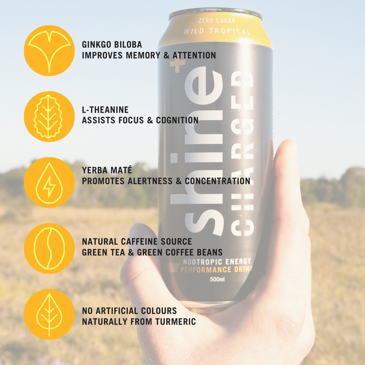 Shine Charged Nootropic Energy Drink - Wild Tropical 12 x 500ml