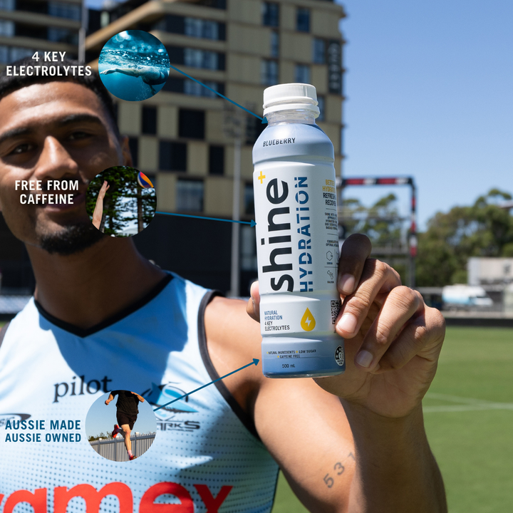Shine Hydration - Blueberry 12 x 500ml