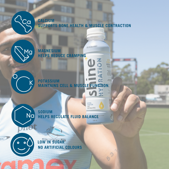 Shine Hydration - Blueberry 12 x 500ml